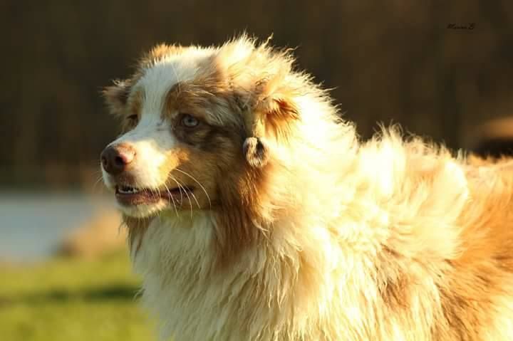 Newborn of mount rascally Of Euskal Bailara