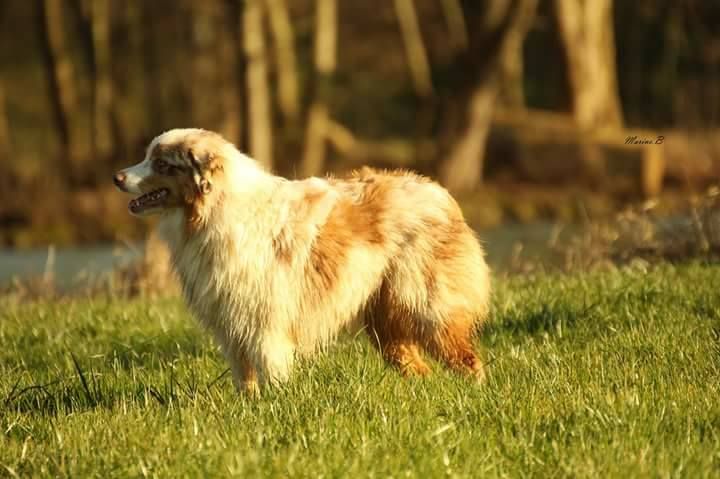 Newborn of mount rascally Of Euskal Bailara